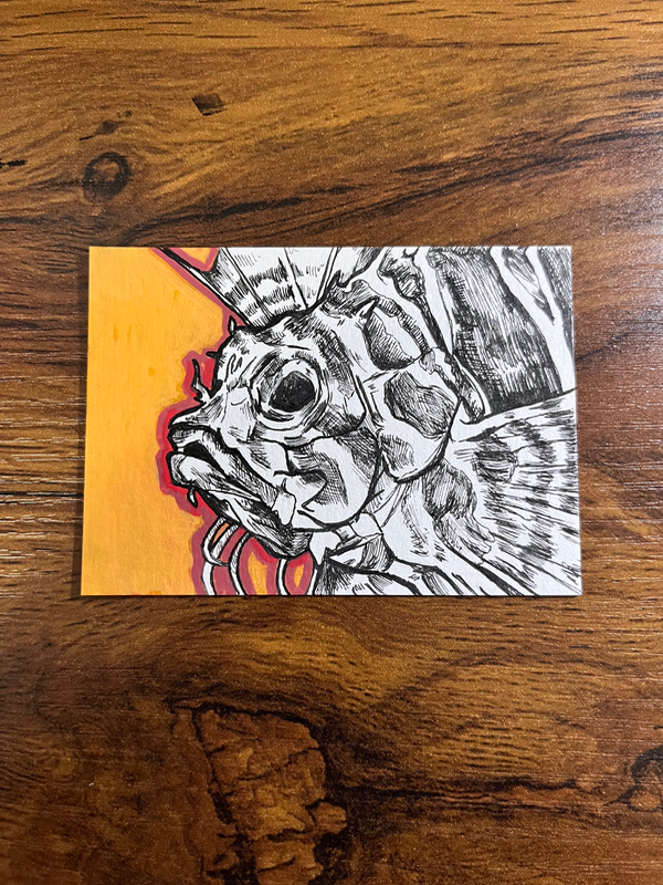 Hawaiian Lionfish aceo art card