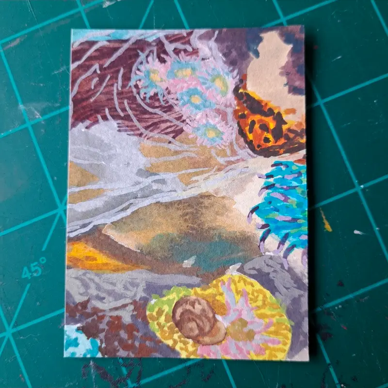Tide Pool Polyptych 5/6 aceo art card