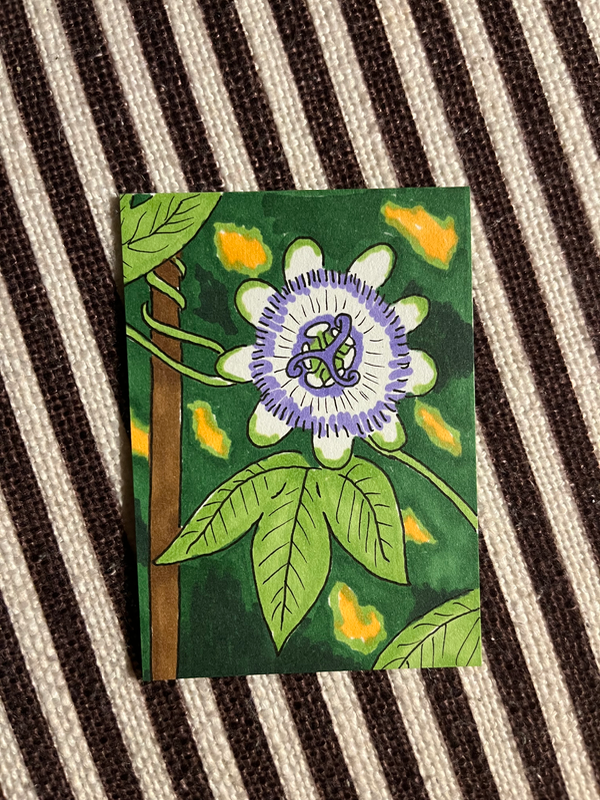 Passion vine aceo art card