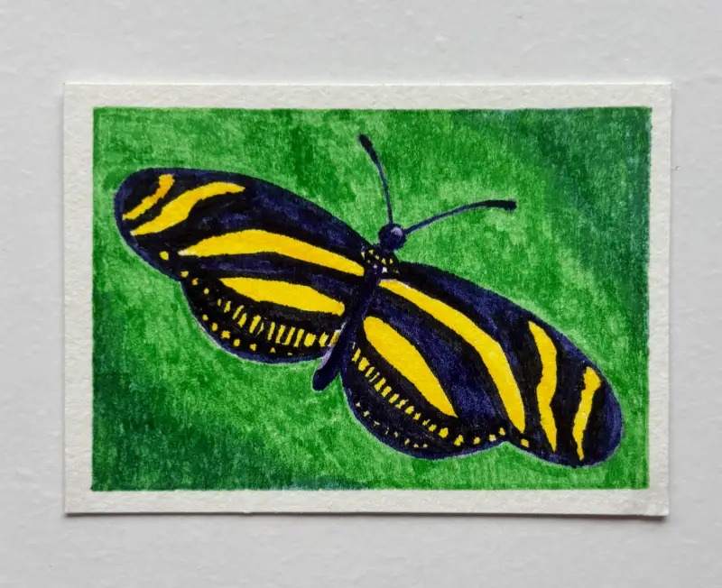 Longwing Zebra aceo art card