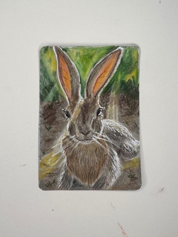 Lounging Hare aceo art card