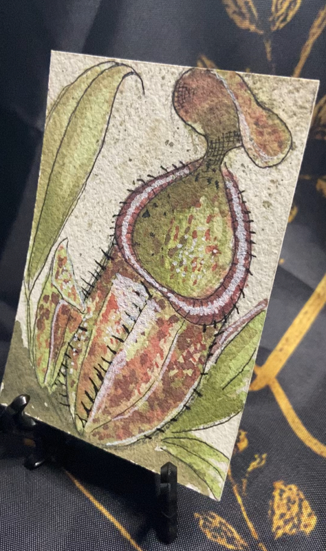 Pitcher aceo art card