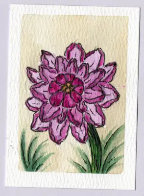 Dahlia aceo art card thumbnail 1