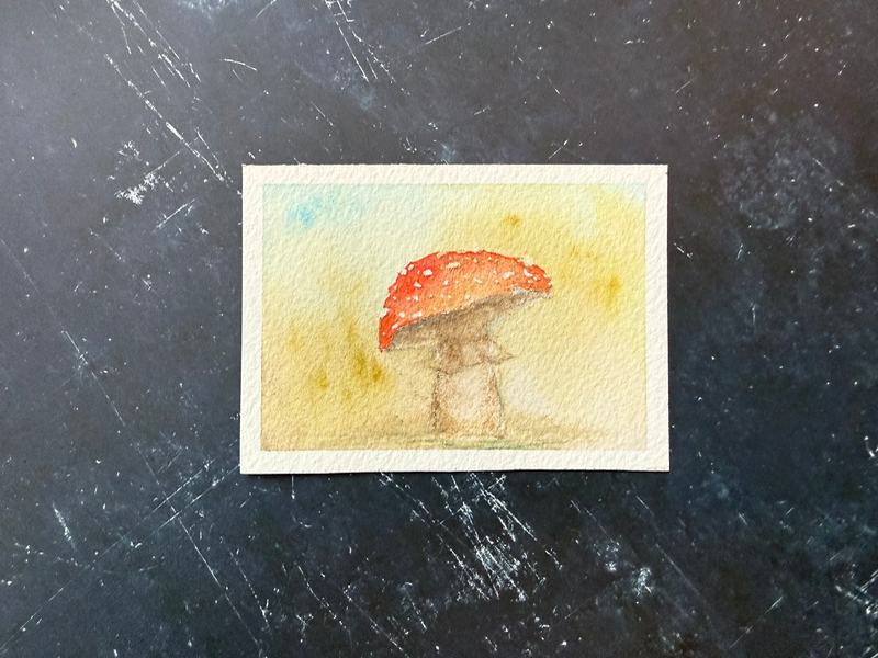 Amanita aceo art card