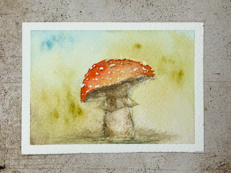 Amanita aceo art card