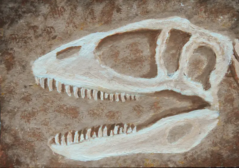 Dino Skull Carcharodontosaurus Saharicus aceo art card
