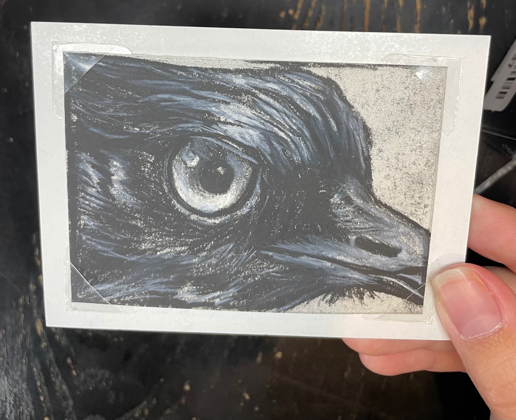 Judgy Crow aceo art card