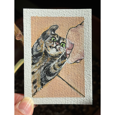 ACEO original, Mochi vs. String 2 aceo art card thumbnail 1