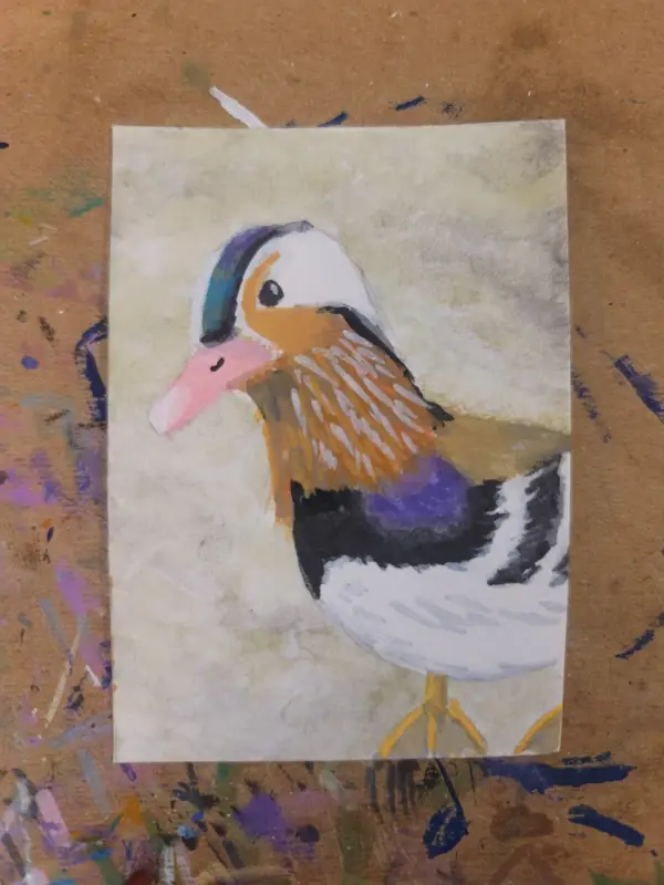 Mandarin Duck 2 aceo art card