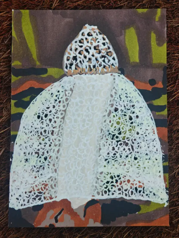 Mushrooms #5 - Veiled Lady aceo art card