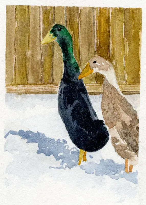 Winter Walk aceo art card