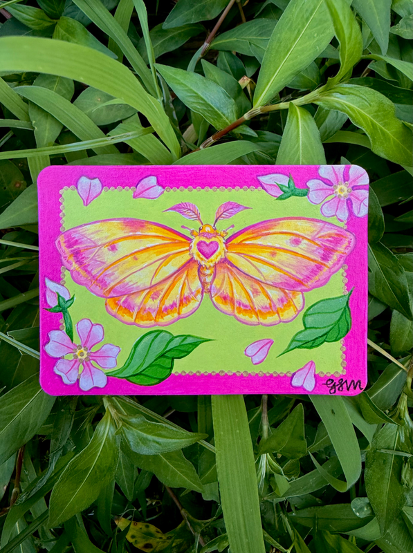 “Rosy Maple Moth” 2/4 aceo art card