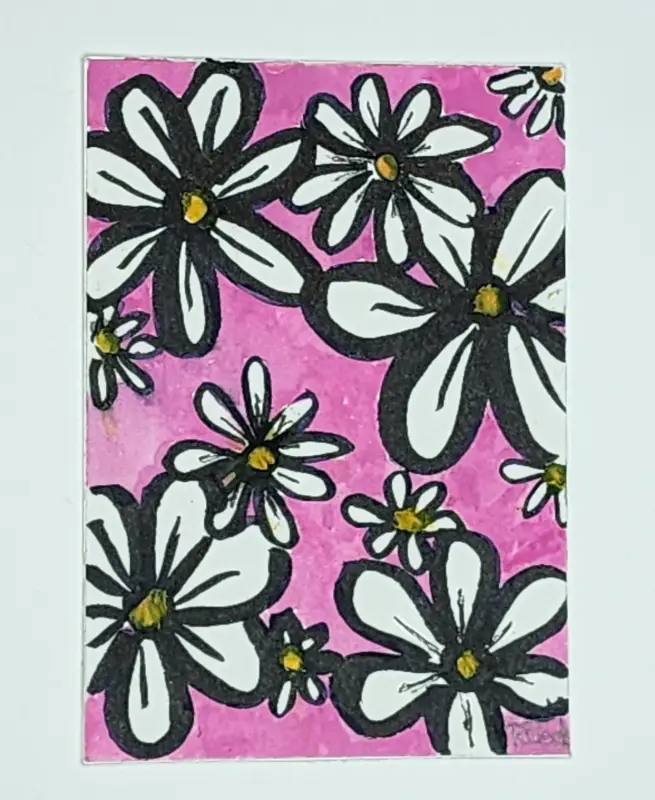 Pink Daisy aceo art card