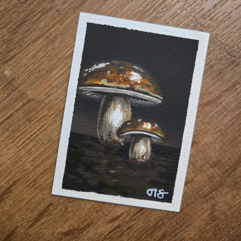Mushrooms aceo art card