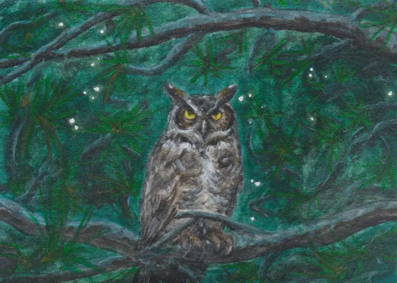 Midnight Owl aceo art card