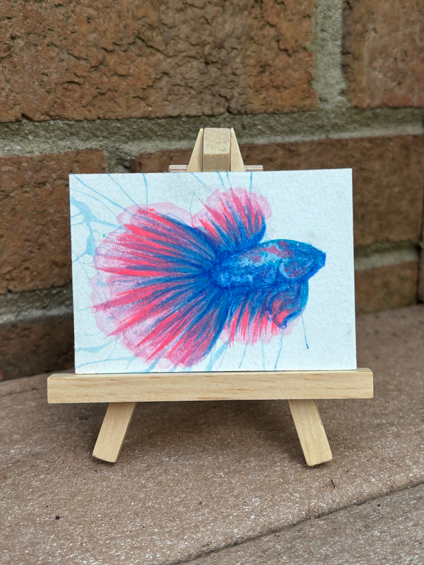 Abstract Pink/Blue Fighter Beta Fish Surrealism aceo art card