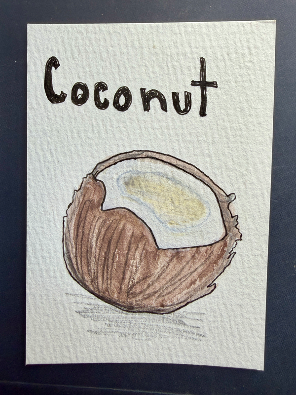 Coconut Cove | Fruit Collection aceo art card