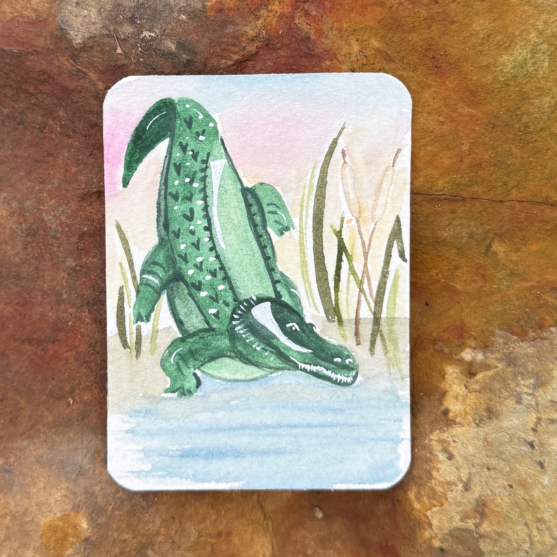 Swamp Gator aceo art card