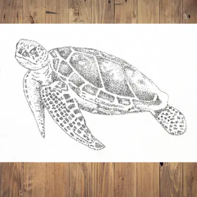 Sea Turtle-Original Hand-Stippling Ink ACEO aceo art card thumbnail 1