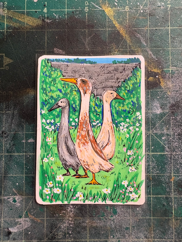 Runner Ducks aceo art card