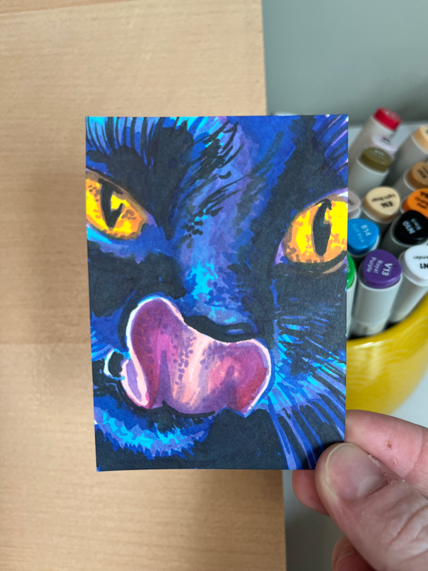 Sus Nose Lickin (Little Black Cat Series) aceo art card