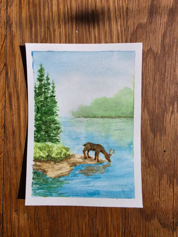Boundary Waters aceo art card