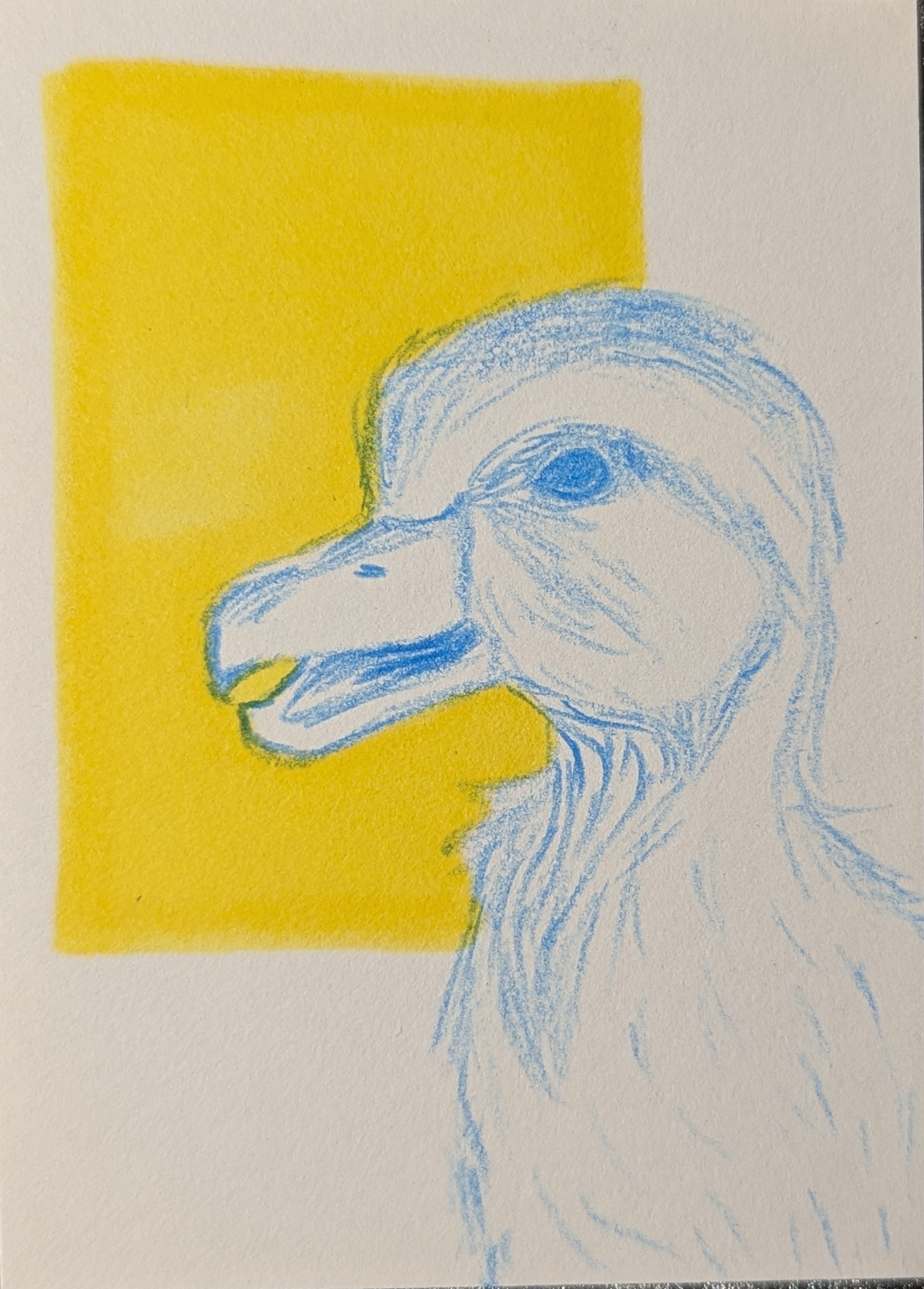 Desi Duck aceo art card thumbnail 2