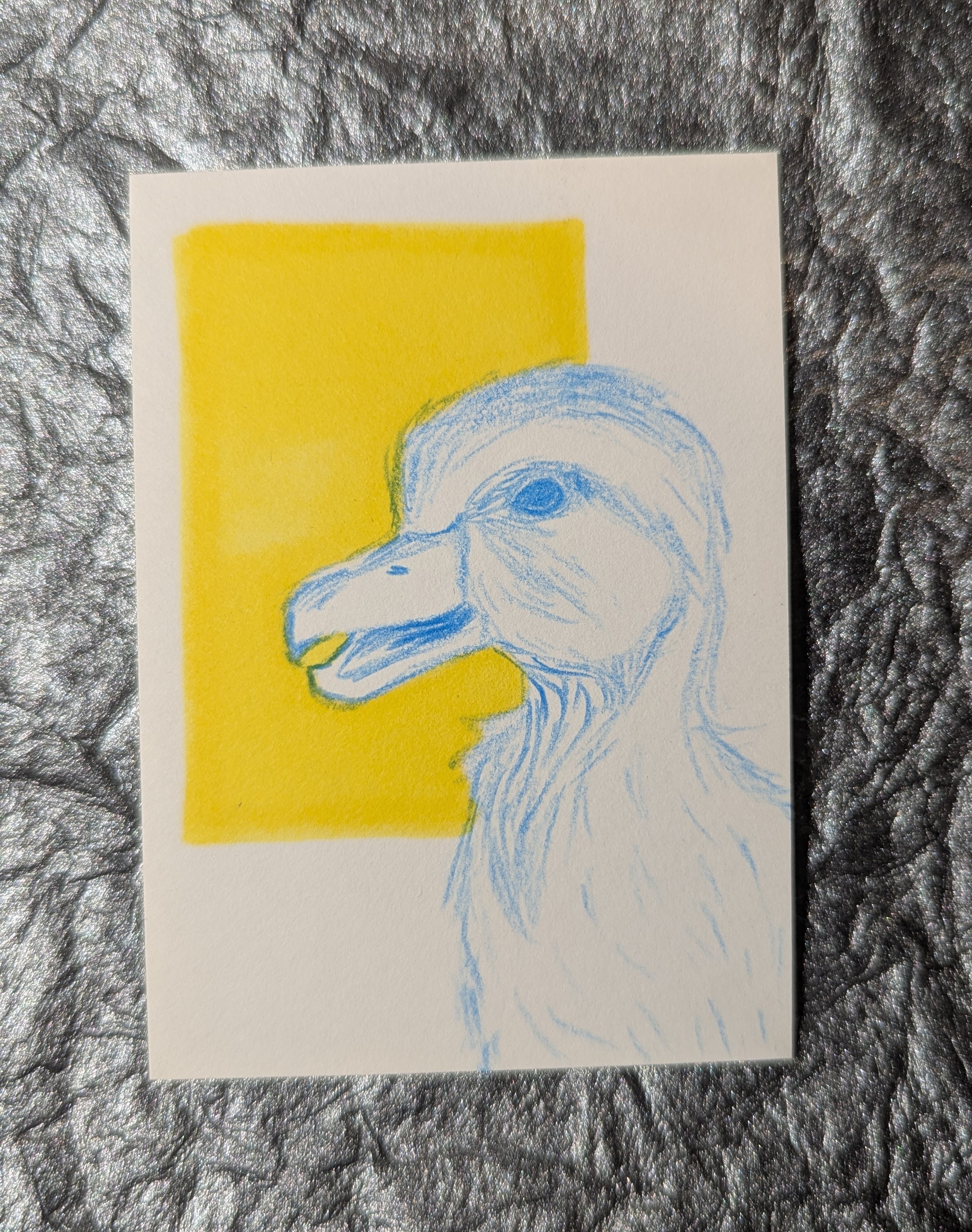 Desi Duck aceo art card thumbnail 1