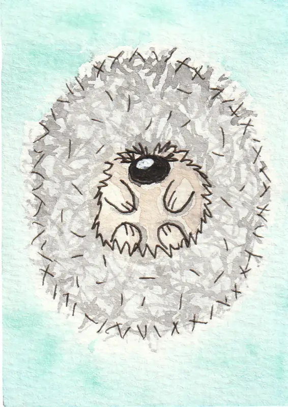 Mad Hedgie aceo art card
