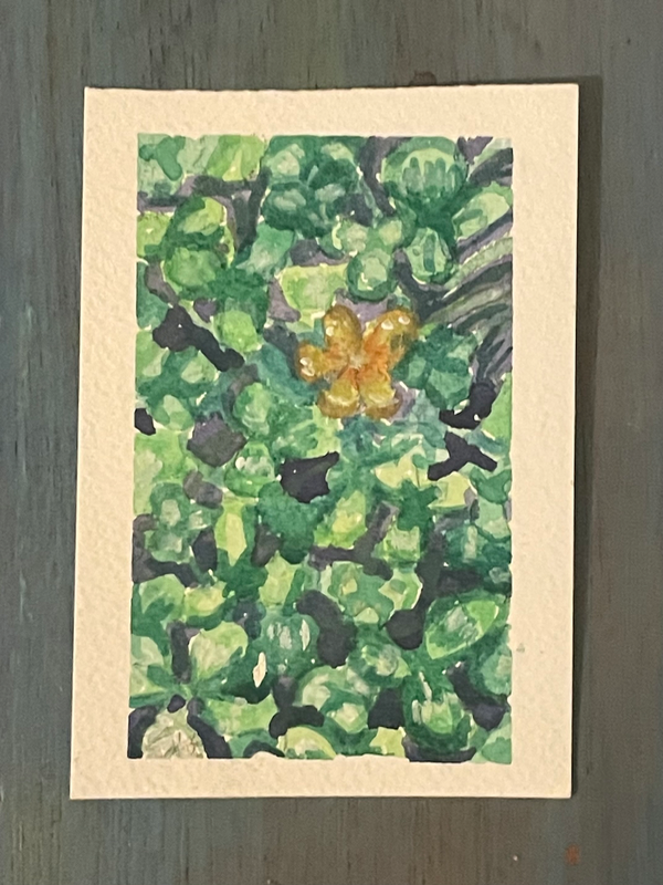 Find the yellow aceo art card