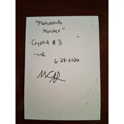 Flatwoods Monster Cryptid #3 aceo art card thumbnail 5