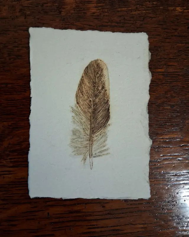 Mountain Quail Wing Feather aceo art card