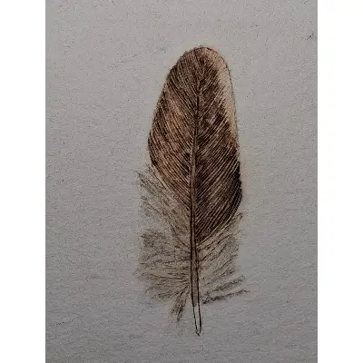 Mountain Quail Wing Feather aceo art card thumbnail 2