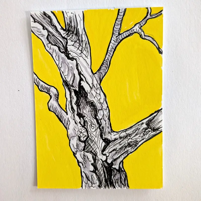 Tree Detail aceo art card