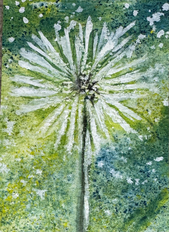 Dandelion delight aceo art card