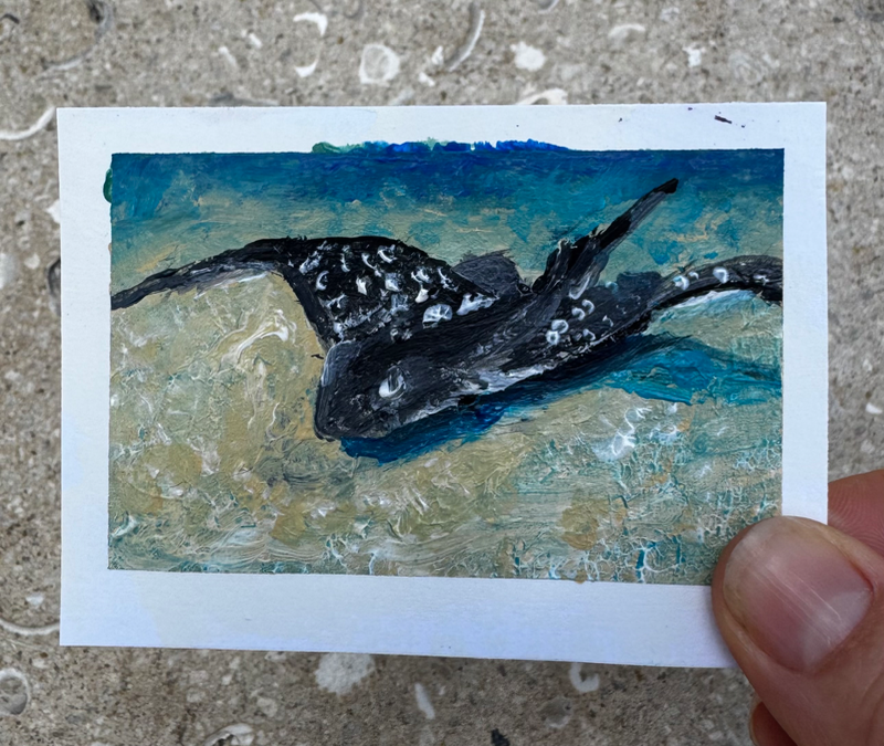 Ray of Sunshine aceo art card