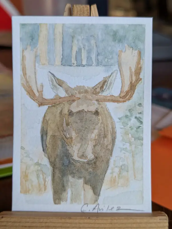 ACEO Original Watercolor Moose aceo art card