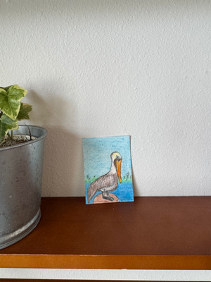 The Florida Birds 4 “Pelican” aceo art card thumbnail 2