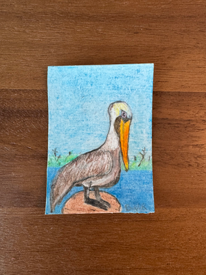 The Florida Birds 4 “Pelican” aceo art card thumbnail 1