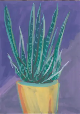 Moody Mother-in-law's Tongue aceo art card thumbnail 2