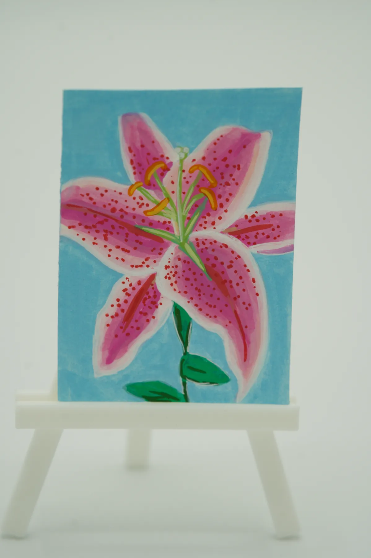 Stargazer Lily aceo art card