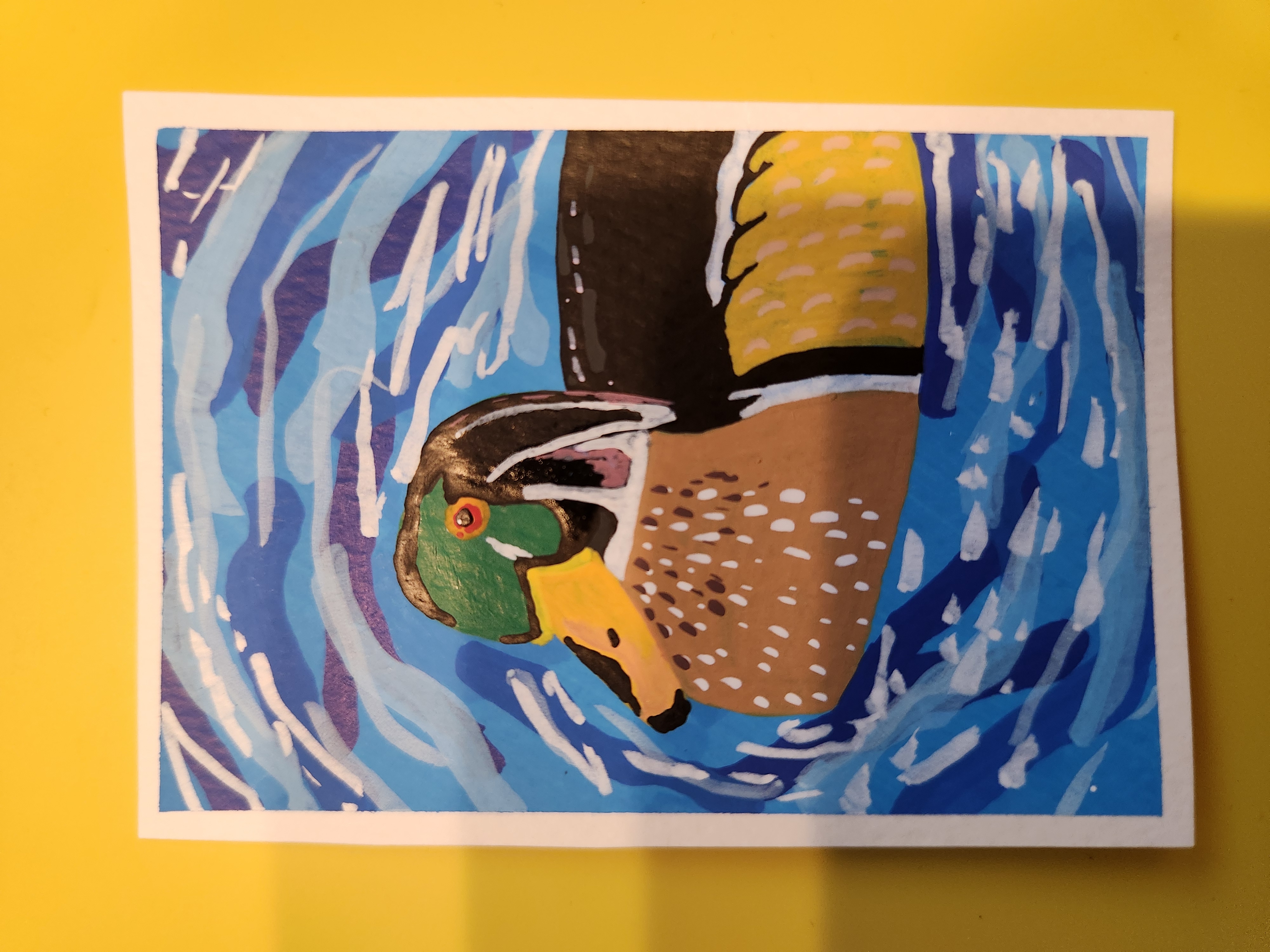 Wood Duck in Water aceo art card