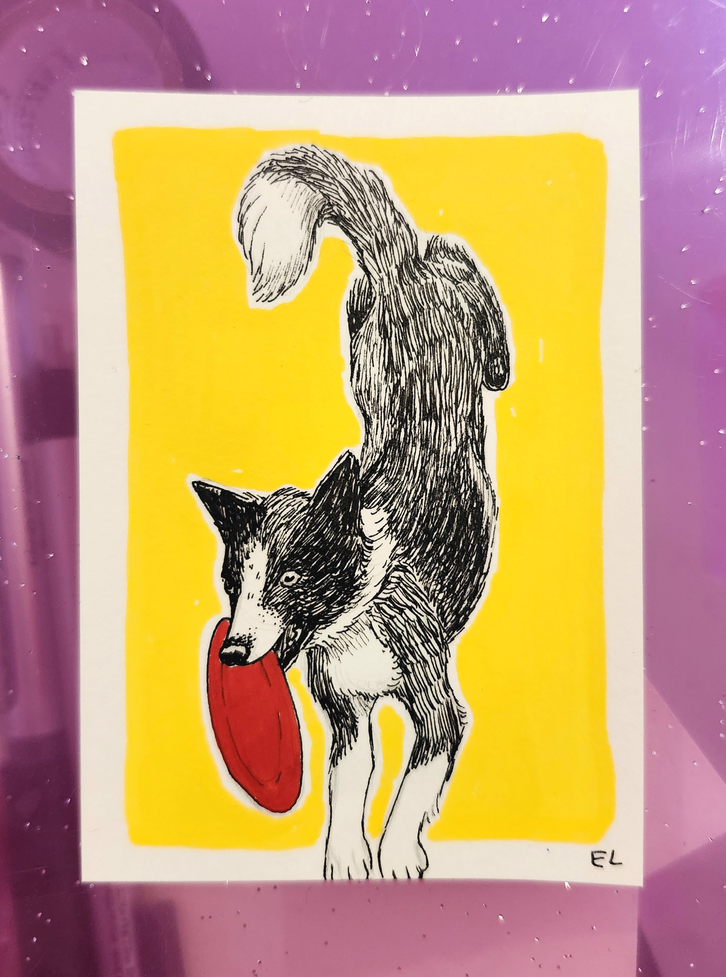 Border Collie aceo art card