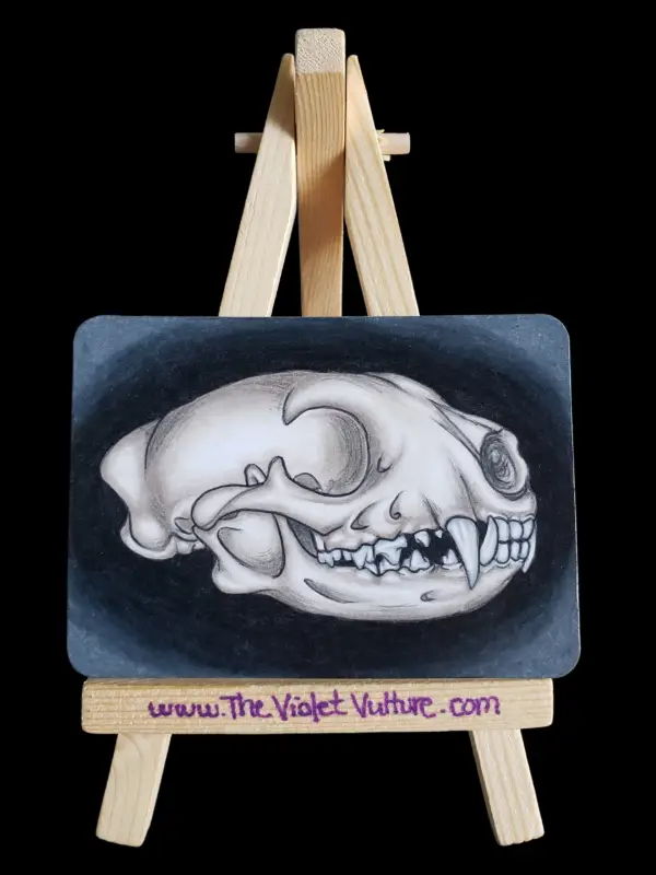 It's Always A Raccoon aceo art card