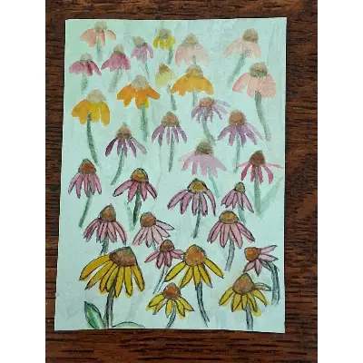 Cone flowers aceo art card thumbnail 2