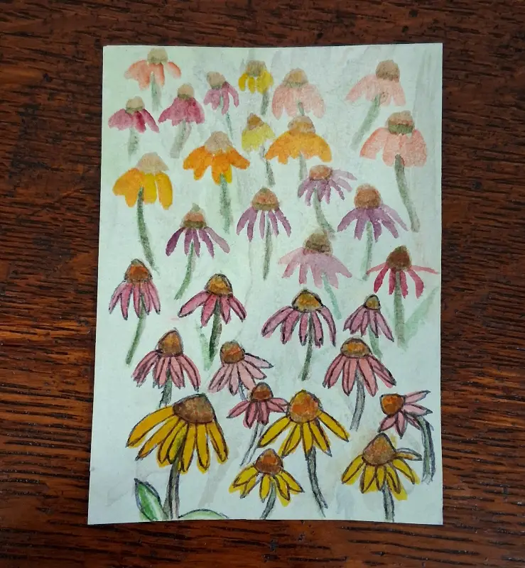 Cone flowers aceo art card