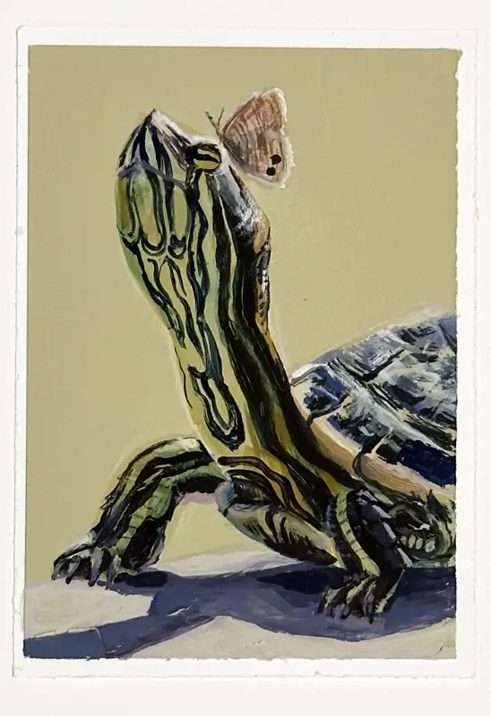 Turtle and Butterfly ("Bonita") aceo art card