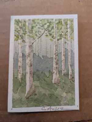 ACEO Original Watercolor Spring Birch Forest aceo art card thumbnail 1