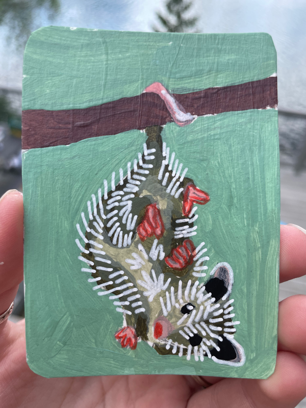 OH! Possum aceo art card