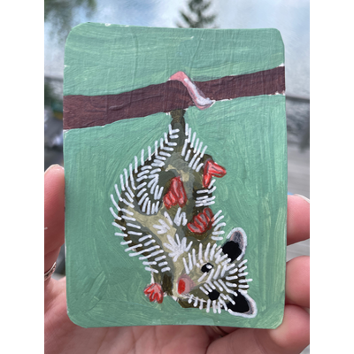 OH! Possum aceo art card thumbnail 1